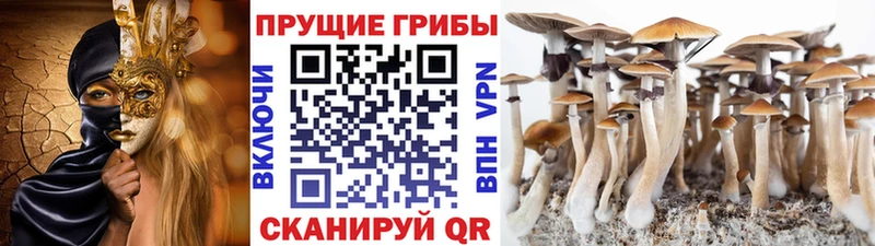 Галлюциногенные грибы GOLDEN TEACHER  Нерюнгри 