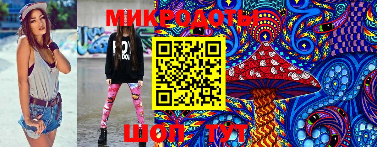 Галлюциногенные грибы Psilocybe Нерюнгри