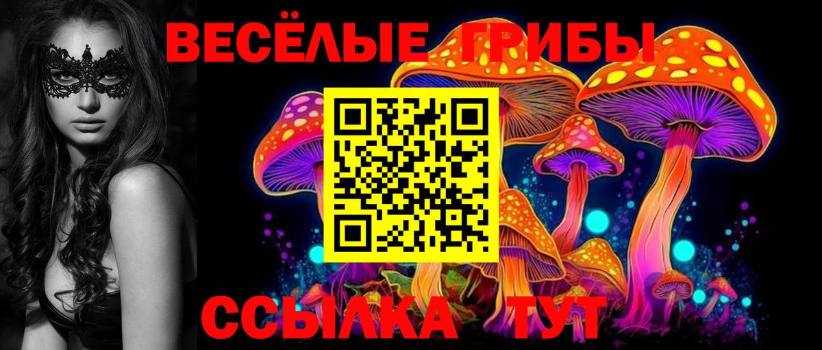 Псилоцибиновые грибы MAGIC MUSHROOMS Нерюнгри