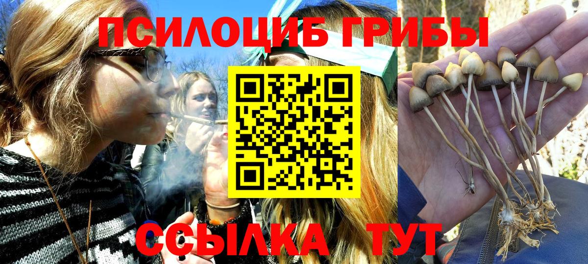MDMA  МАРИХУАНА  Кодеин  Вход с VPN  Кокаин  ГАШИШ  Меф  Как найти закладки?  Мефедрон кристаллы  Нерюнгри  А ПВП СОЛЬ кристаллы 