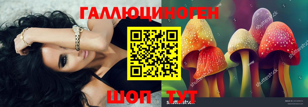 Нерюнгри  Псилоцибиновые грибы Cubensis  Вход с VPN  Псилоцибиновые грибы Magic Shrooms 